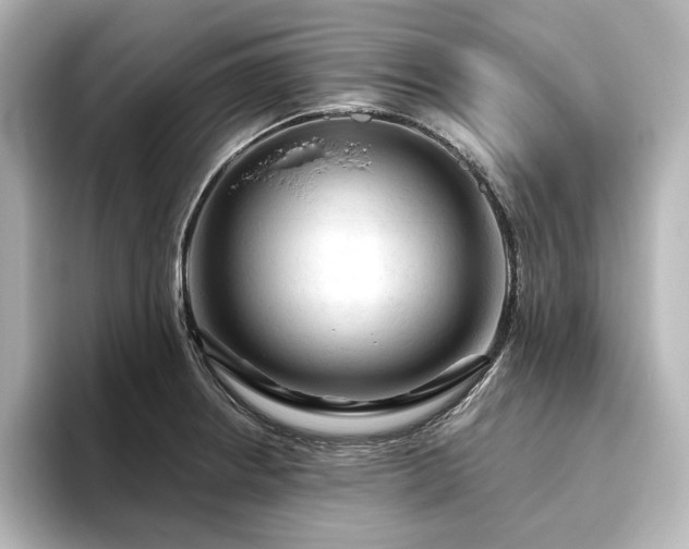 X0000096411234200801241214