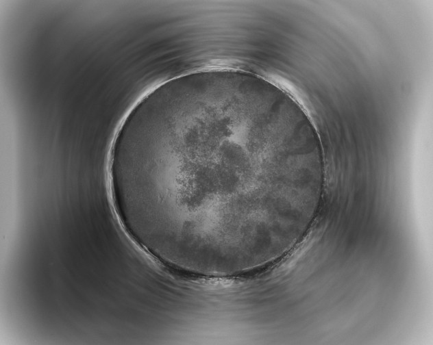 X0000096411235200801241214