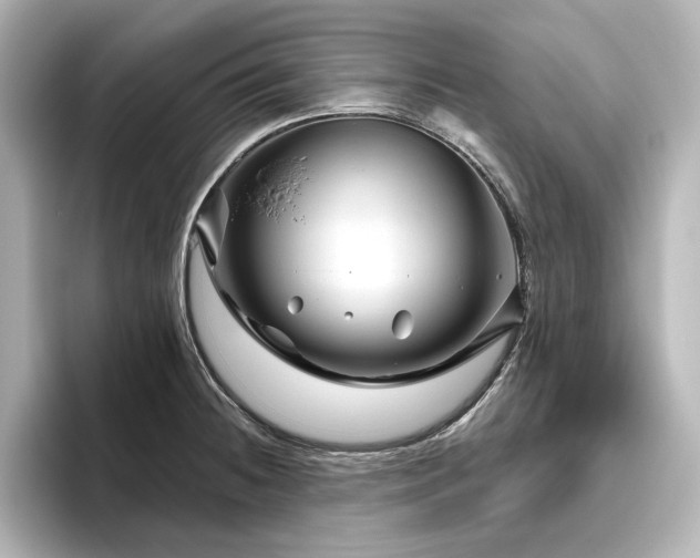 X0000096411236200801241214