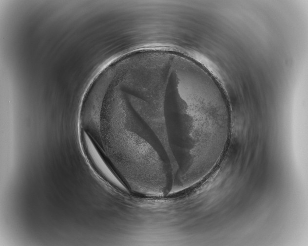X0000096411237200801241214