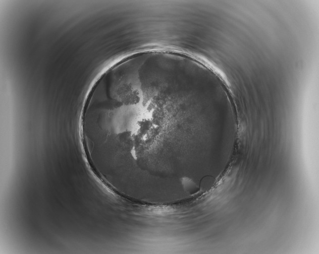 X0000096411239200801241214