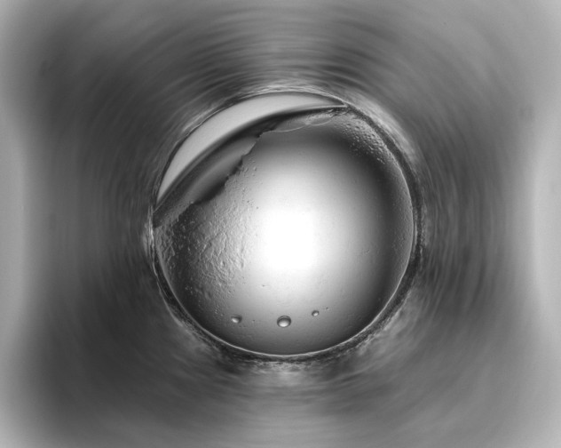 X0000096411241200801241214