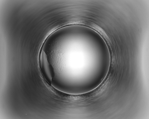 X0000096411242200801241214