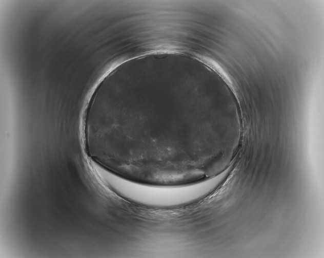 X0000096411243200801241214
