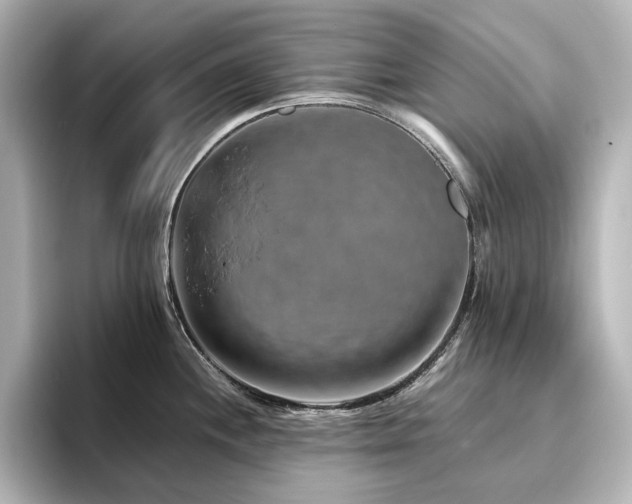 X0000096411244200801241214