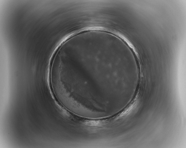 X0000096411245200801241214