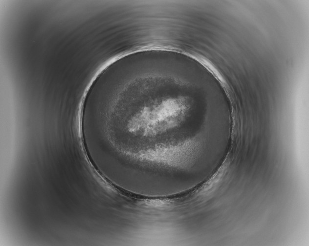 X0000096411246200801241214