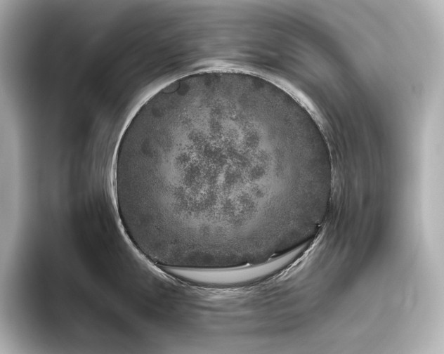 X0000096411247200801241214