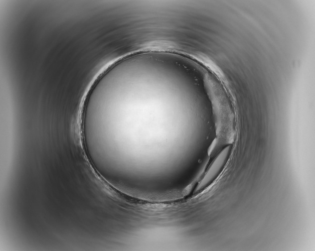 X0000096411248200801241214