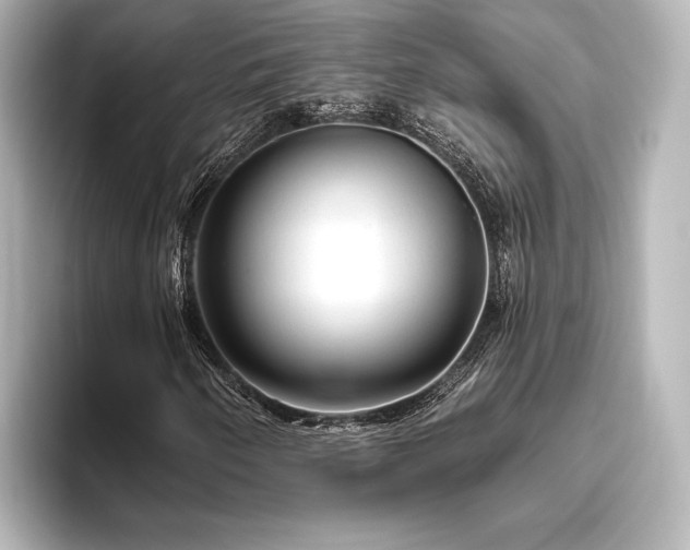 X0000096411250200801241214