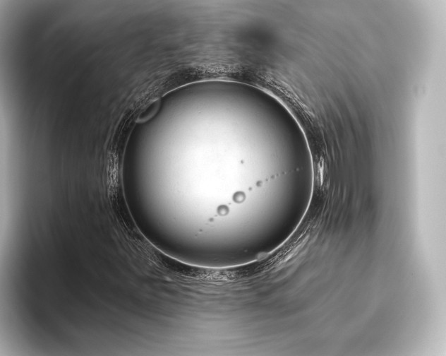 X0000096411251200801241214