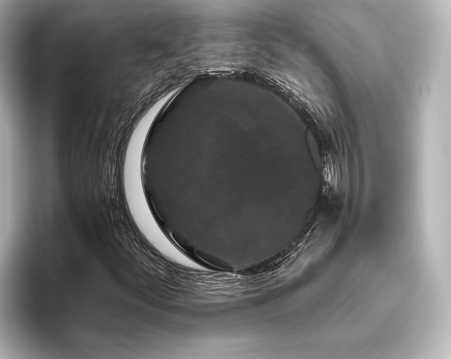 X0000096411252200801241214