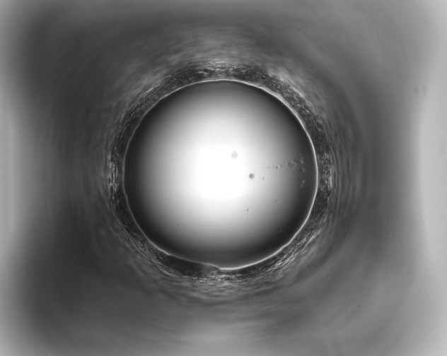 X0000096411253200801241214