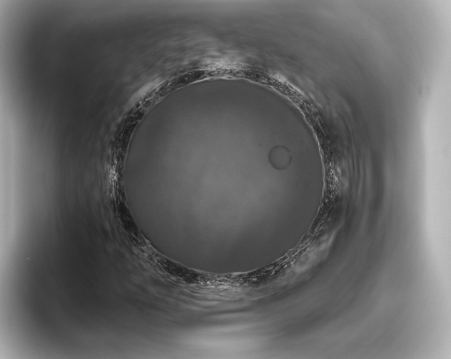 X0000096411254200801241214