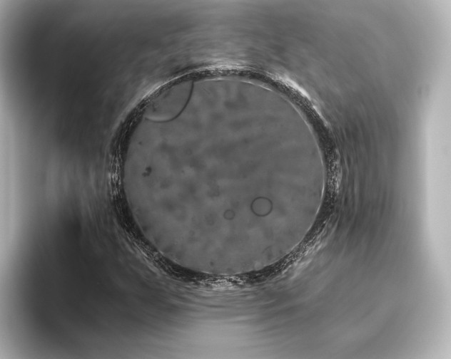 X0000096411255200801241214