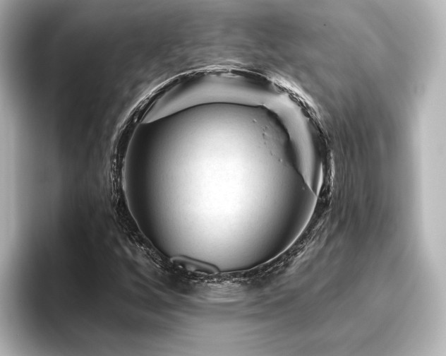X0000096411256200801241214