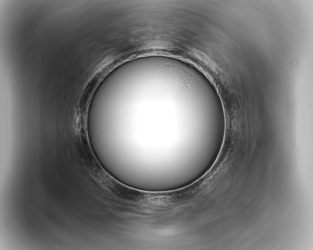 X0000096411258200801241214