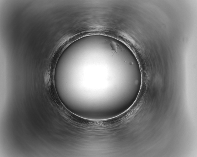 X0000096411259200801241214