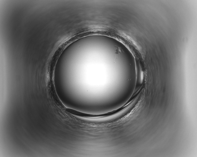 X0000096411261200801241213