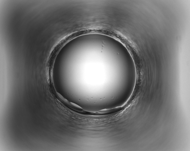 X0000096411262200801241213