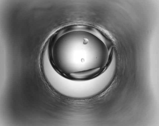 X0000096411264200801241213