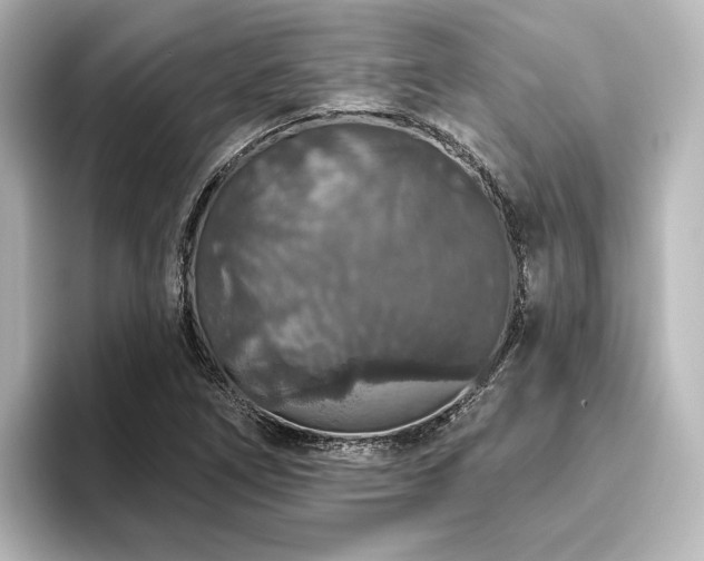 X0000096411266200801241213