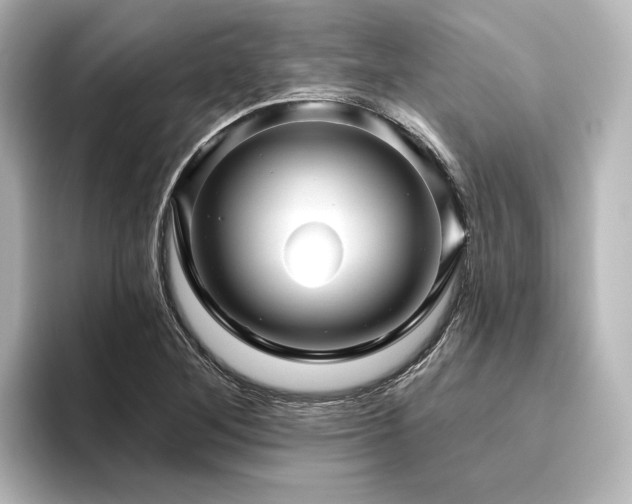 X0000096411268200801241213