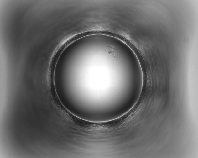 X0000096411270200801241213