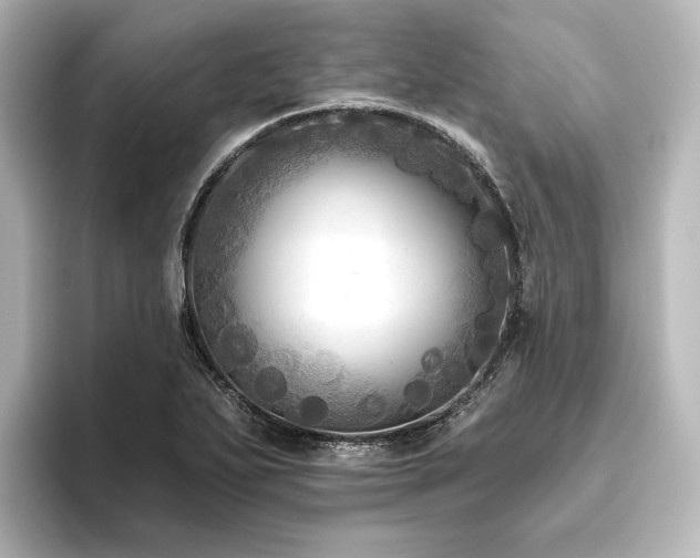 X0000096411271200801241213