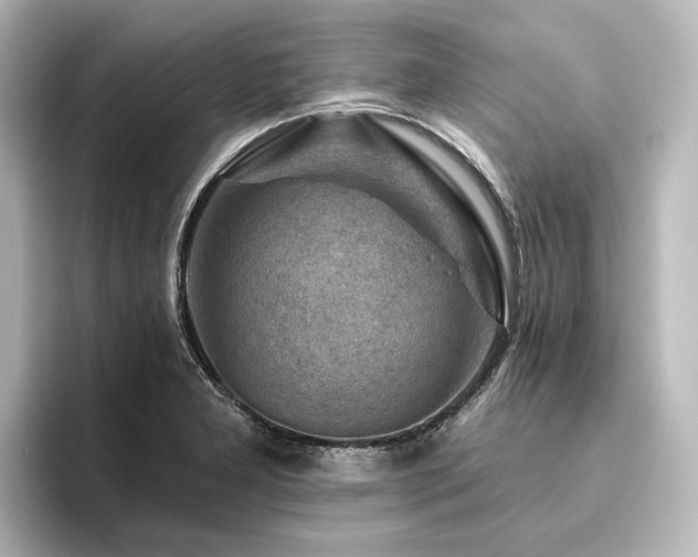 X0000096411277200801241213
