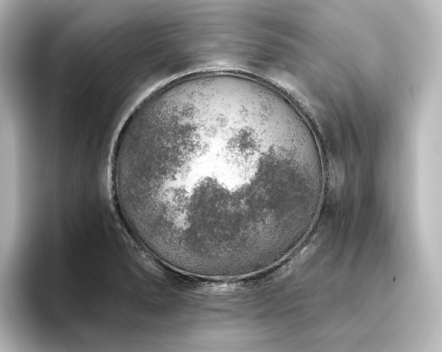 X0000096411278200801241213