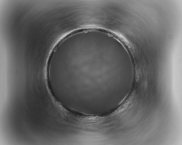 X0000096411279200801241213