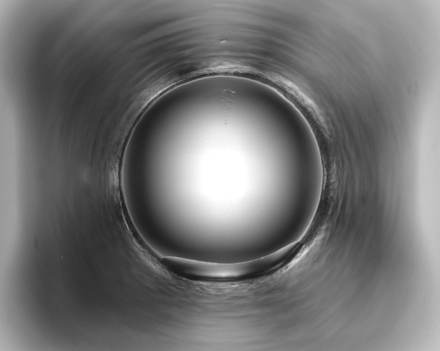 X0000096411281200801241213