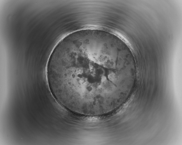X0000096411283200801241213