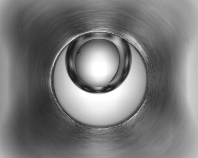 X0000096411284200801241213
