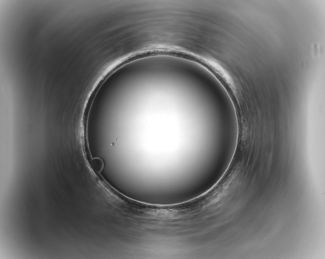 X0000096411287200801241213