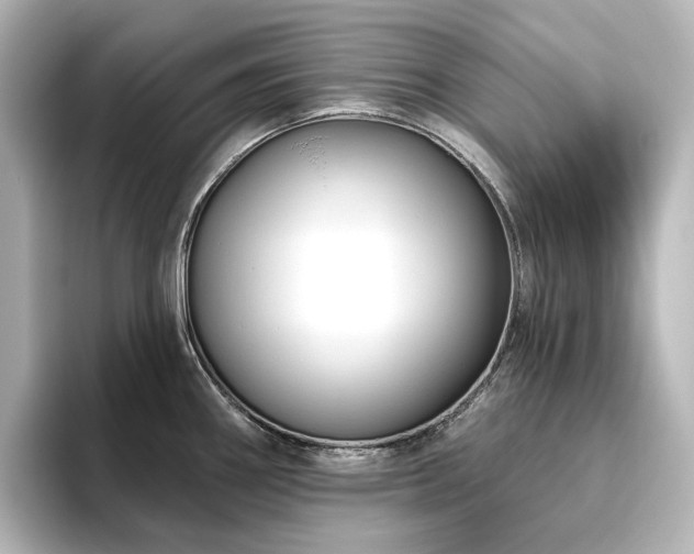 X0000096411290200801241213