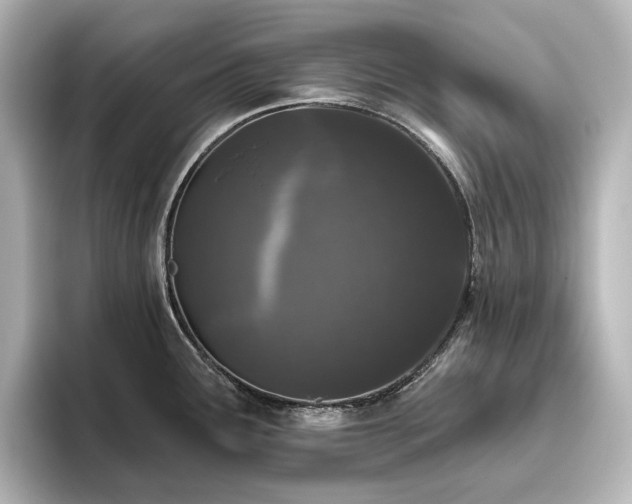 X0000096411291200801241213