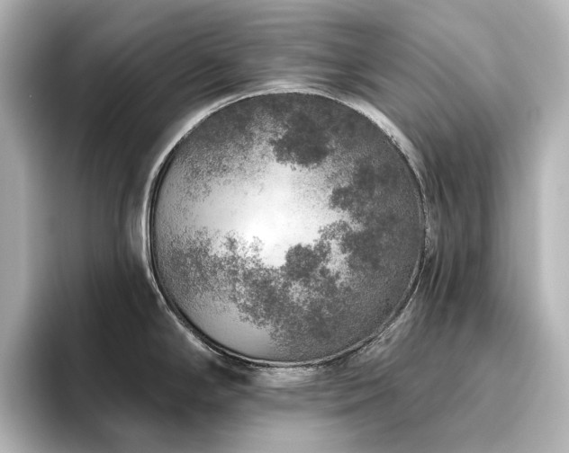 X0000096411294200801241213