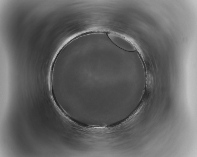 X0000096411295200801241213