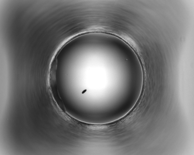 X0000096411296200801241213