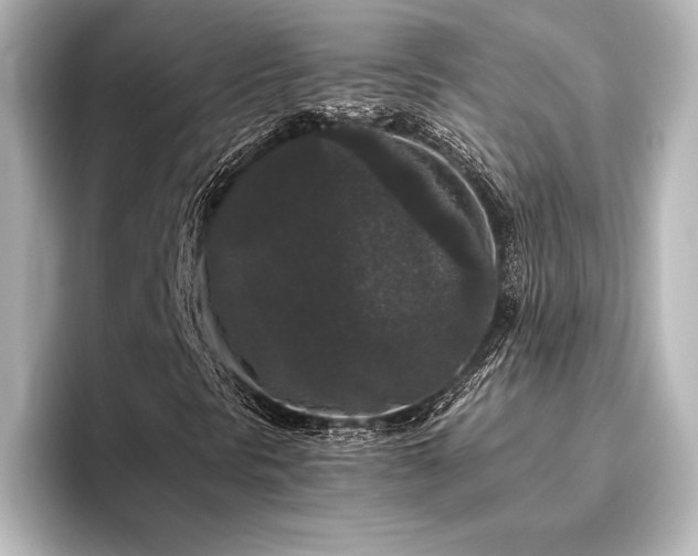 X0000096411297200801241212