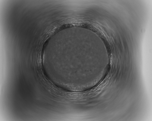 X0000096411298200801241212