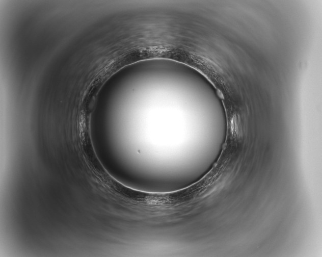 X0000096411299200801241212