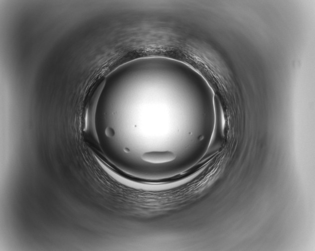 X0000096411300200801241212