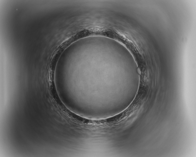 X0000096411301200801241212