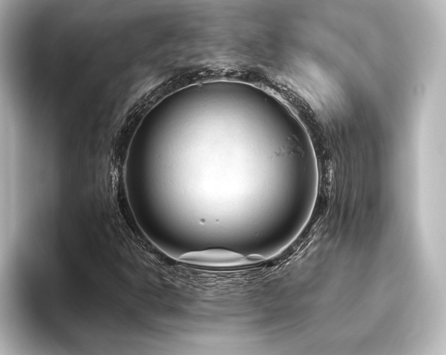 X0000096411302200801241212