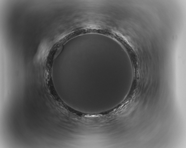 X0000096411303200801241212