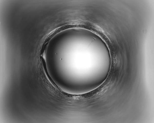 X0000096411304200801241212