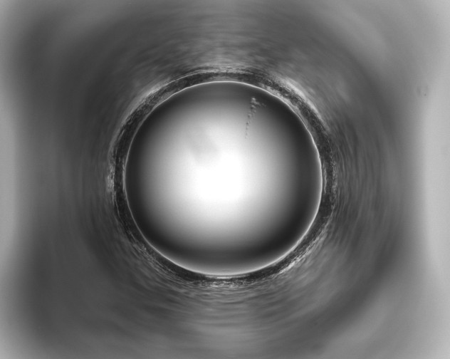 X0000096411307200801241213